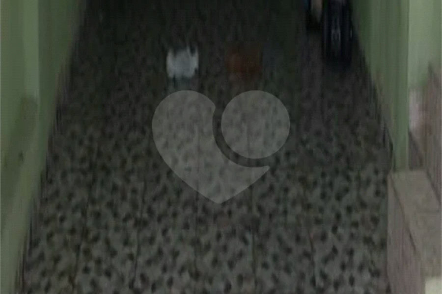 Sobrado à venda com 4 quartos, sendo 1 suíte, em Vila Santo Antônio, São Paulo, SP