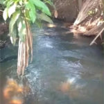Fazenda à venda com 2 quartos no Centro, Estreito, MA