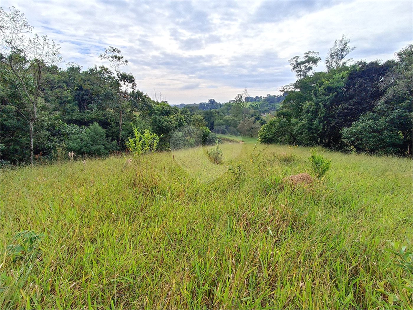 Terreno à venda em Residencial Reserva da Mata, Itapetininga, SP