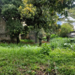 Terreno à venda em Macedo, Guarulhos, SP