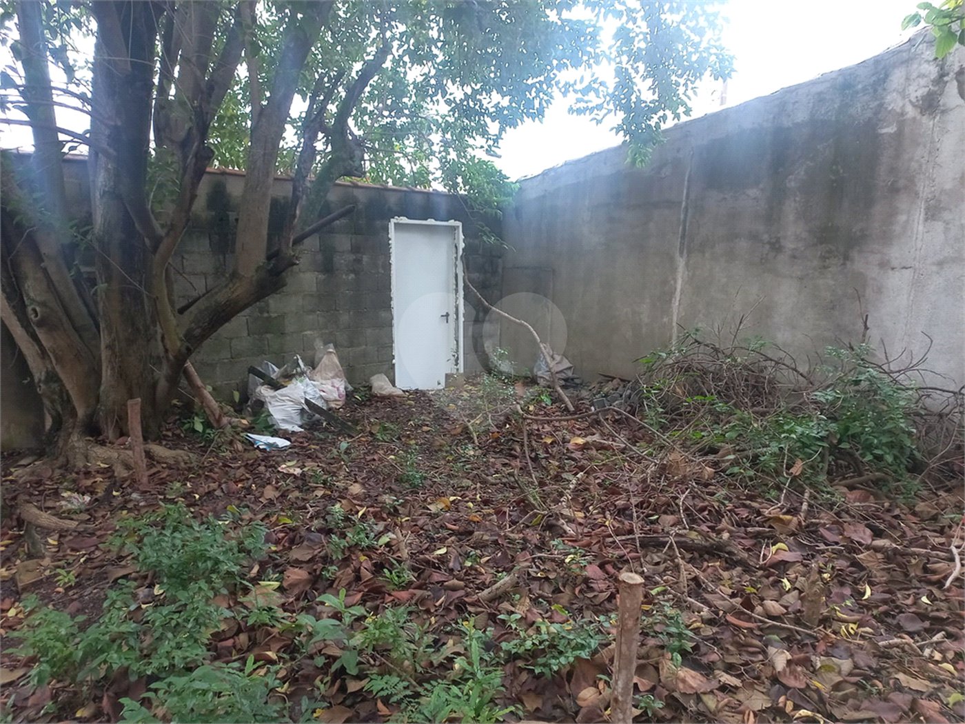 Terreno à venda em Tucuruvi, São Paulo, SP