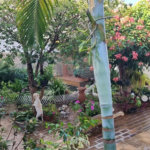 Casa térrea no Jardim Hikare