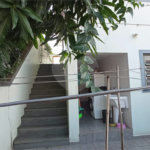 Sobrado à venda com 3 quartos, sendo 1 suíte, em Vila Paulicéia, São Paulo, SP