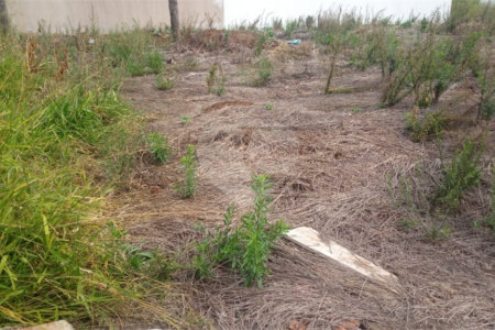 Lote no Jardim do Bosque, aceita financiamento ou aquisição de terreno e construção .