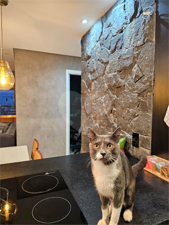 Apartamento à venda com 3 quartos, sendo 1 suíte,  em Vila Zilda (tatuapé), São Paulo, SP