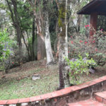 Casa à venda com 3 quartos, sendo 1 suíte,  em Serra da Cantareira, Mairiporã, SP