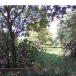 Terreno à venda em Chácaras do Guacuri, Itupeva, SP