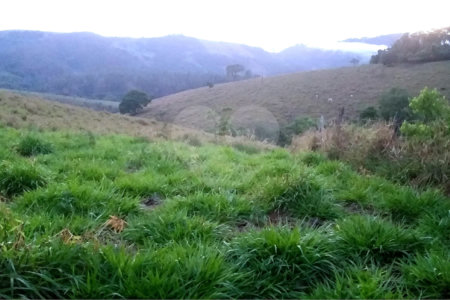 Sítio à venda no Centro, Monte Sião, MG