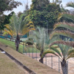 Casa à venda com 3 quartos, sendo 1 suíte,  no condomínio Vinhas da Vista Alegre - Lado Sede, Vinhedo - SP