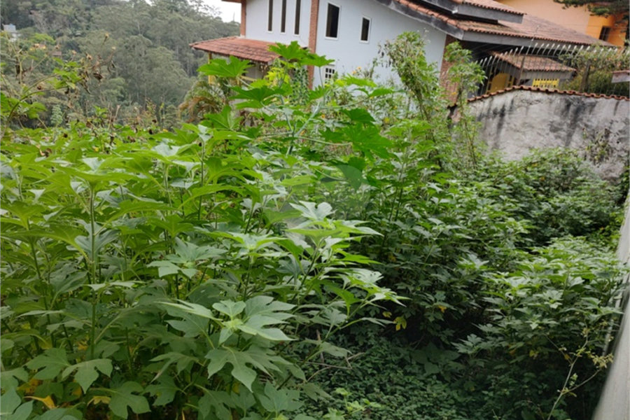 Terreno à venda em Barro Branco (zona Norte), São Paulo, SP