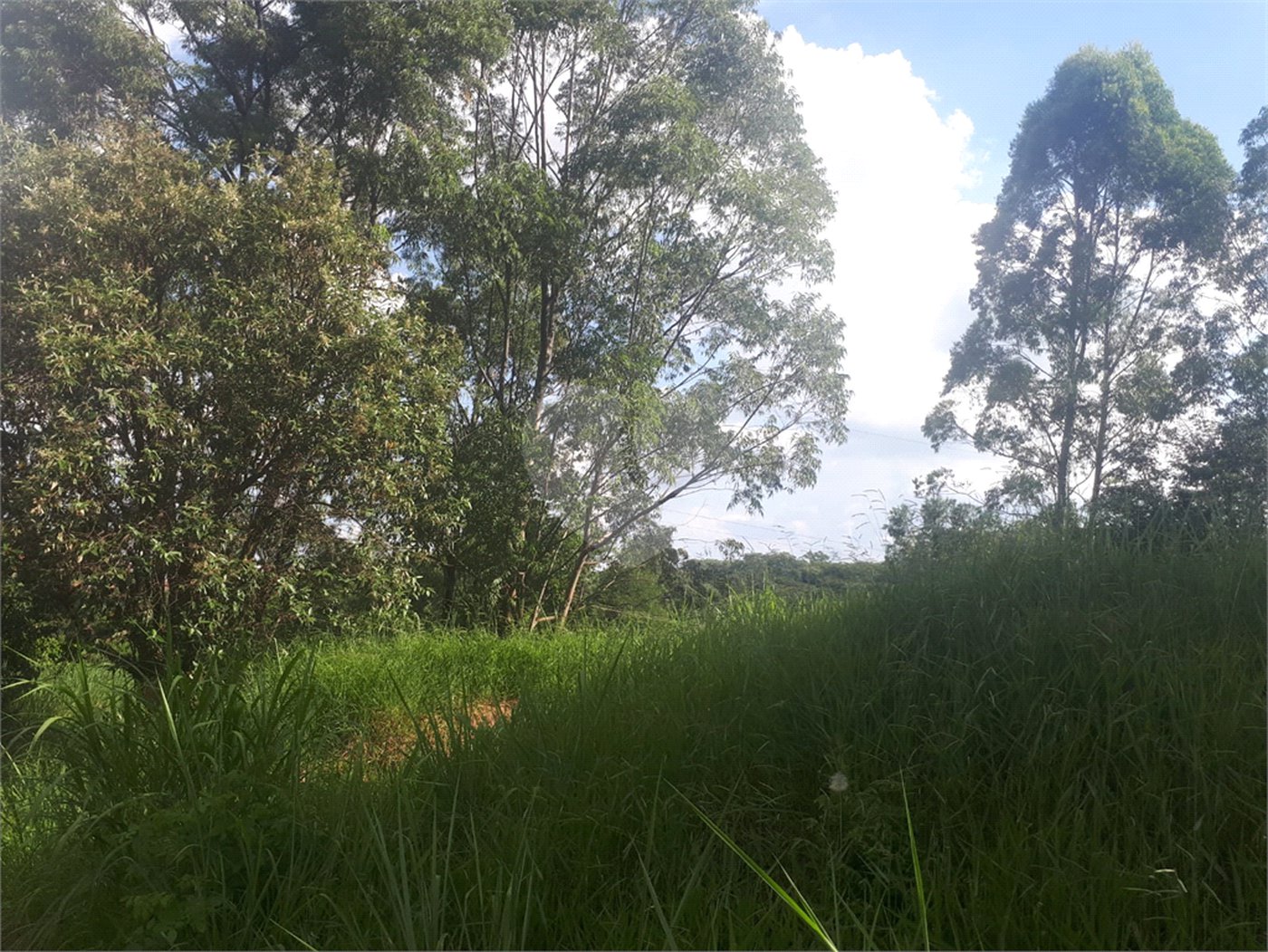 Terreno à venda em Vale Verde, Valinhos, SP