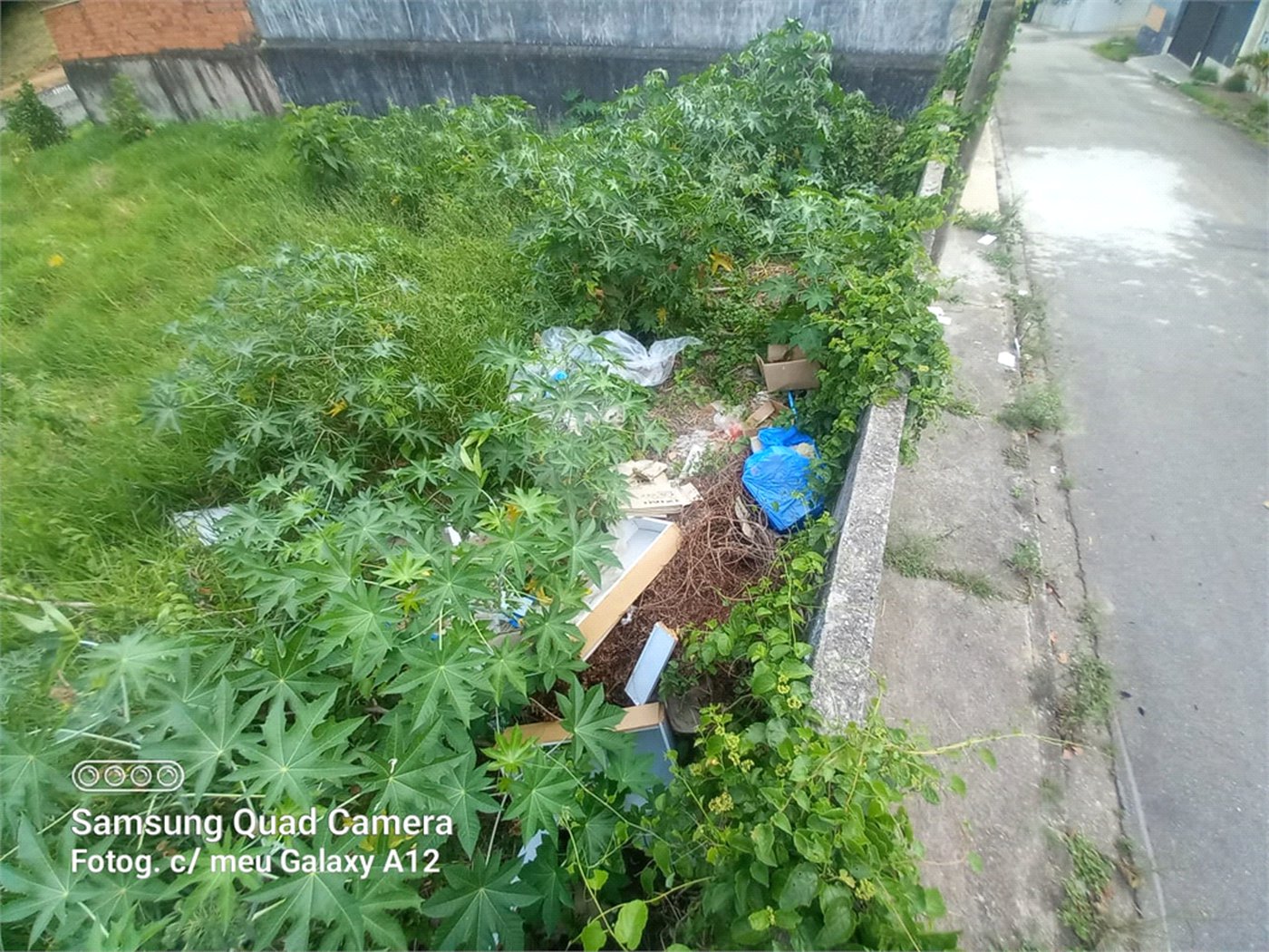 Terreno à venda em Vila Oliveira, Mogi das Cruzes, SP