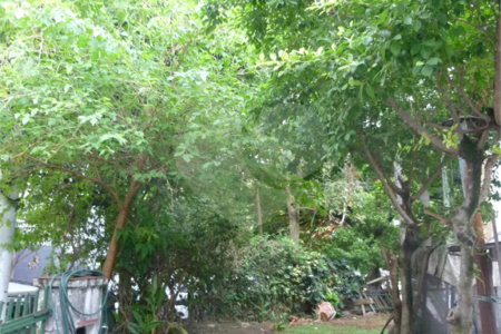 Sobrado à venda com 3 quartos em Jardim Paulista, São Paulo, SP