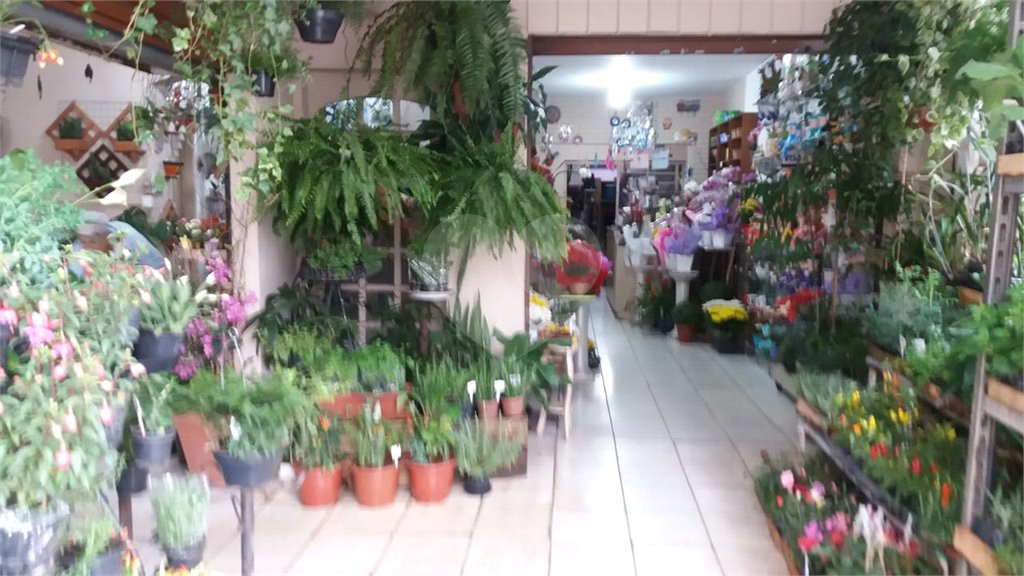 Loja à venda com 3 quartos em Vila Albertina, São Paulo, SP