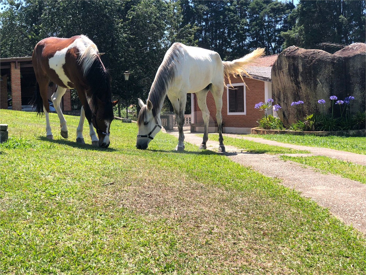 Sítio à venda com 3 suítes em Vila Darcy Penteado (mailasqui), São Roque, SP