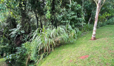 Terreno à venda no condomínio Associação Reserva das Hortênsias, Mairiporã - SP