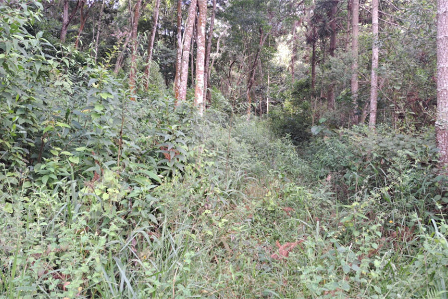Terreno à venda em Terra Preta (terra Preta), Mairiporã, SP