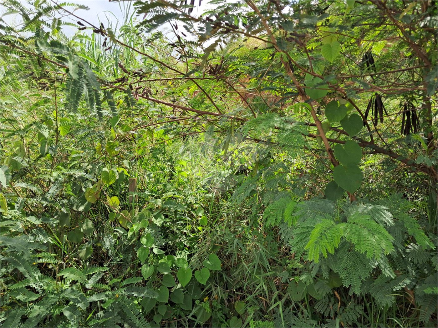 Terreno à venda em Jardim Estância Brasil, Atibaia, SP