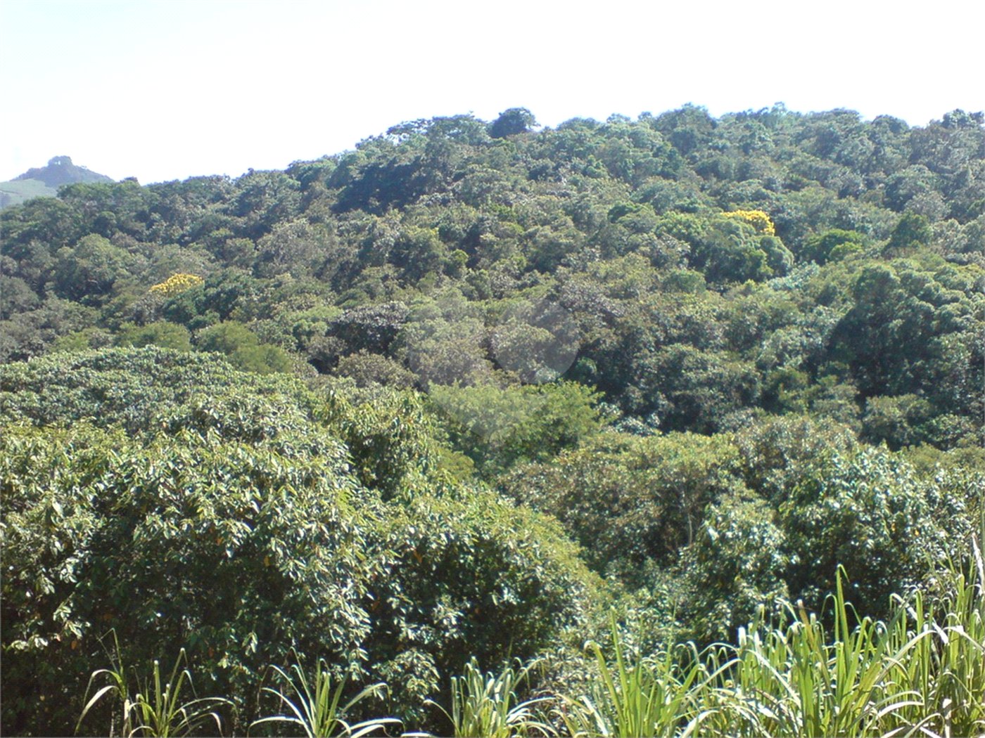 Sítio à venda com 1 quarto em Pirucaia, Mairiporã, SP