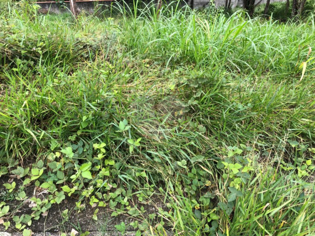 Terreno à venda em Serra da Cantareira, Mairiporã, SP