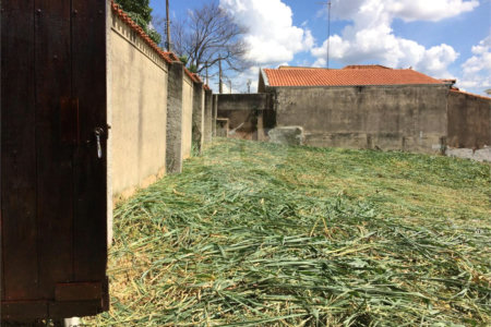 Terreno à venda em Jardim Novo Campos Elíseos, Campinas, SP