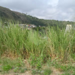 Terreno à venda no condomínio Residencial Mirela - Lotes e Terrenos, Rio de Janeiro - RJ