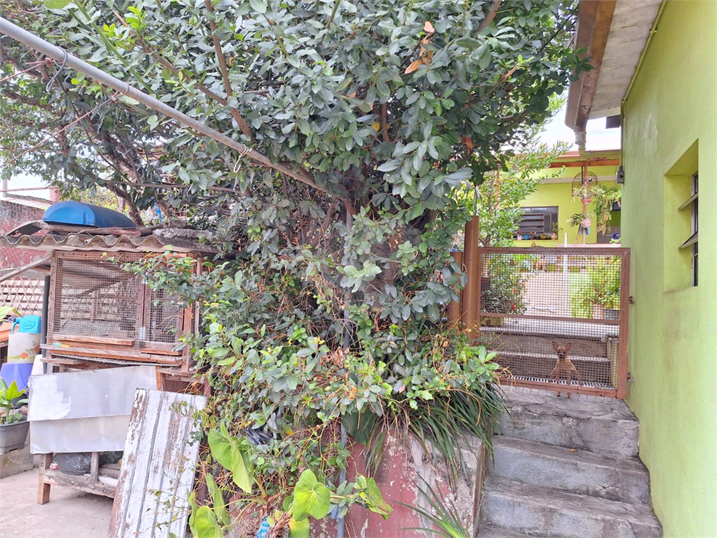 Casa Térrea à venda com 5 quartos, sendo 3 suítes,  em Vila Mazzei, São Paulo, SP