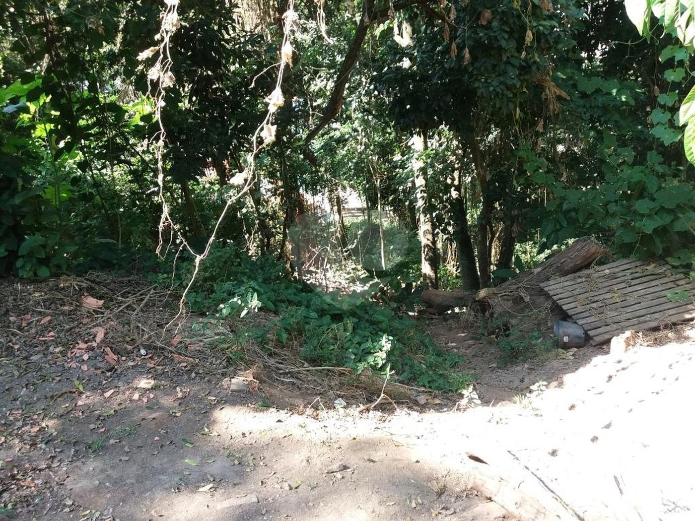 Terreno à venda em Tremembé, São Paulo, SP
