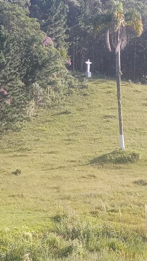 Sítio com 10 dormitórios à venda, 120000 m² por R$ 1.650.000,00 - Bairro Carmo Messias - Ibiúna/SP