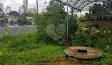Terreno à venda em Jardim Cordeiro, São Paulo, SP