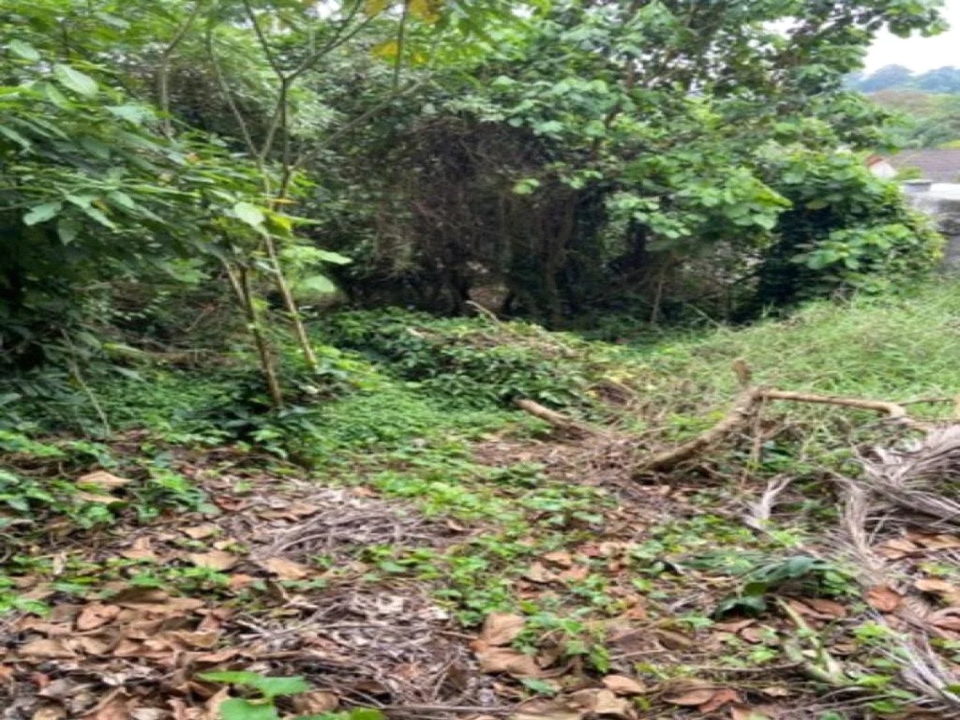 Terreno à venda em Jardim Leonor, São Paulo, SP