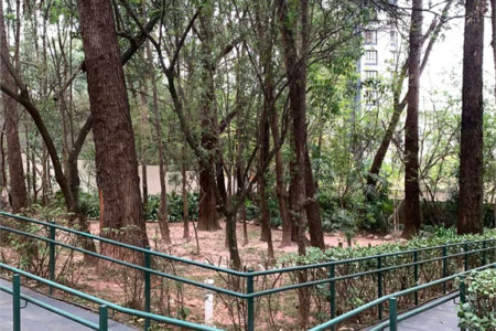 Apartamento à venda com 2 quartos em Vila Andrade, São Paulo, SP