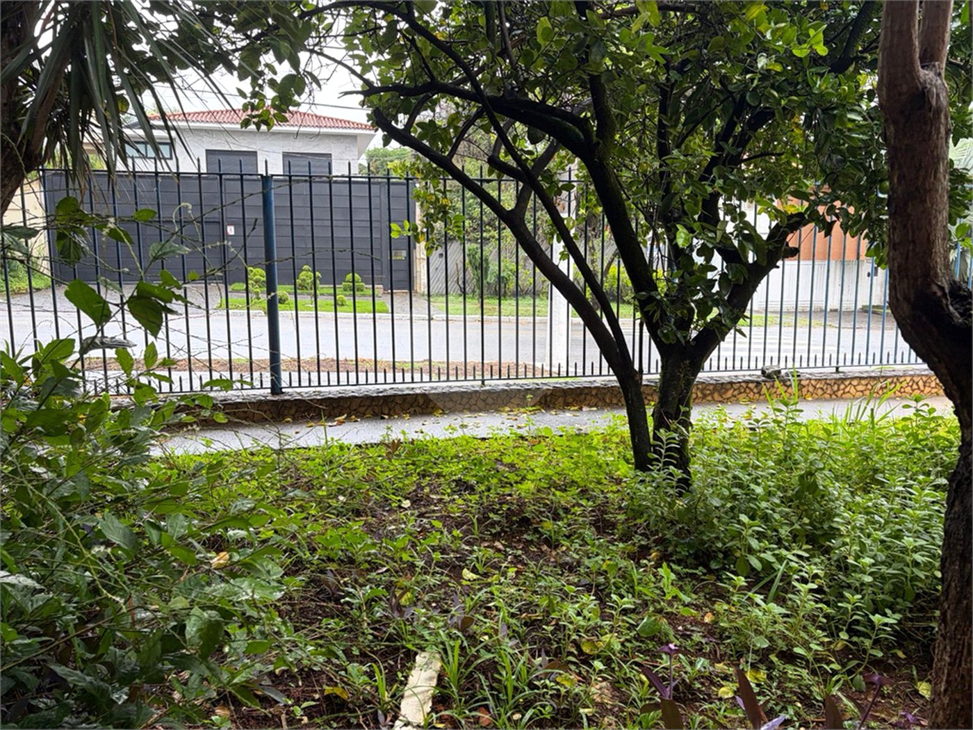 Casa à venda com 3 quartos em Bela Aliança, São Paulo, SP
