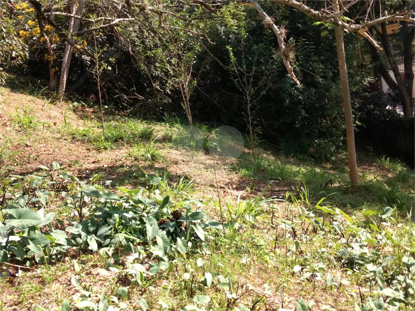 Terreno à venda em Jardim Morumbi, São Paulo, SP