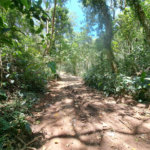 Terreno à venda em Serra da Cantareira, Mairiporã, SP