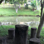 Chácara à venda com 3 quartos, sendo 1 suíte,  em Loteamento Jardim Nova Ibiúna, Ibiúna, SP