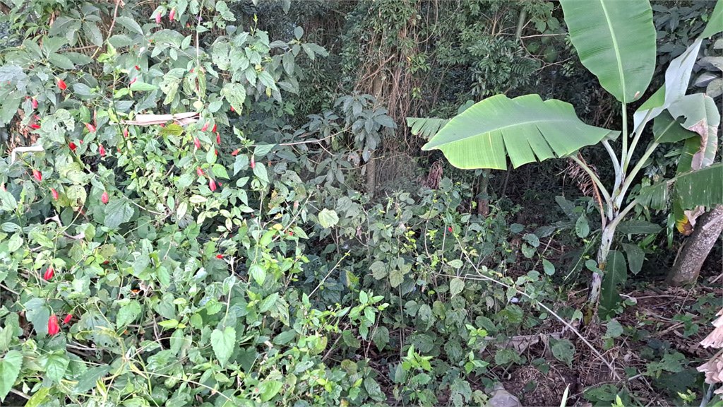 Terreno à venda no condomínio Sausalito, Mairiporã - SP