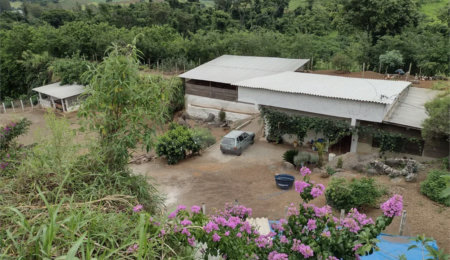 Sítio à venda em Jardim Nova República, São João da Boa Vista, SP