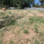 Terreno à venda no condomínio Recanto das Palmeiras, Jundiaí - SP