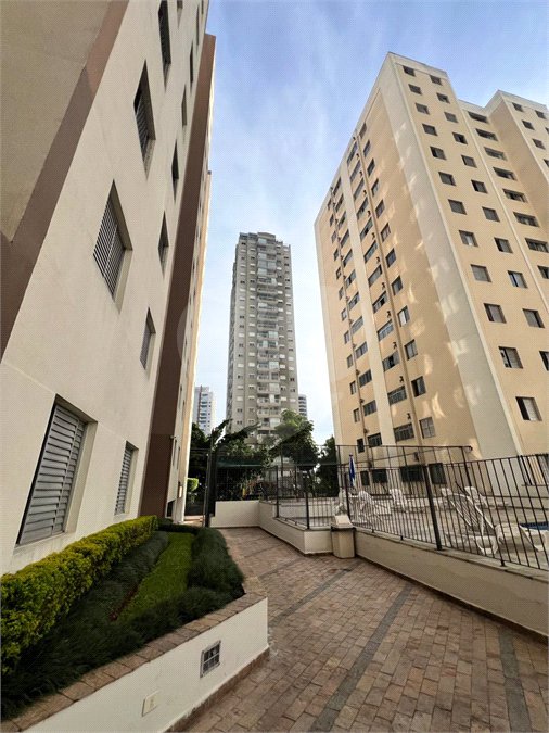 Apartamento para alugar com 3 quartos em Vila Mascote, São Paulo, SP