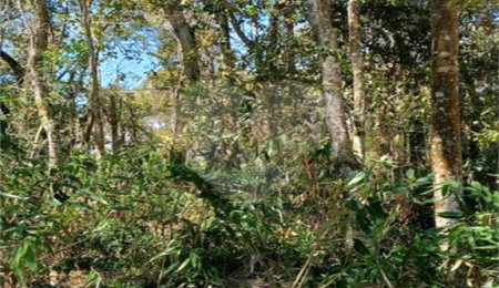 Terreno à venda em Remédios, Mairiporã, SP