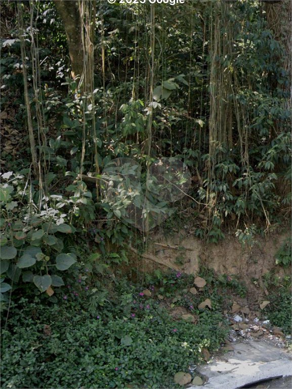 Terreno à venda em Tremembé, São Paulo, SP