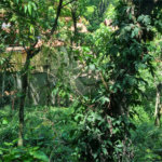 Terreno à venda no condomínio Horto do Ypê, São Paulo - SP