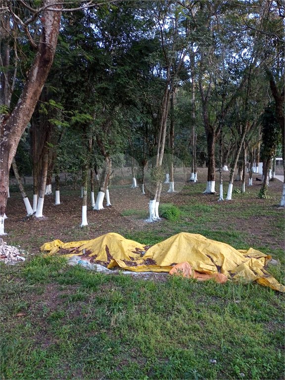 Sítio à venda com 2 quartos em Mogi das Cruzes, SP