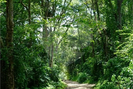 Terreno à venda em Guarapiranga, São Paulo, SP