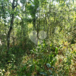 Terreno à venda no condomínio Cantareira, Mairiporã - SP