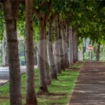 Terreno à venda em Vila do Golf, Ribeirão Preto, SP