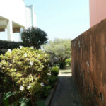Sobrado à venda com 6 quartos em Jardim Floresta, São Paulo, SP