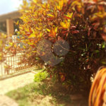 Casa à venda com 3 quartos, sendo 1 suíte, no condomínio Acmti - Colinas do Mosteiro, Terras de Itaici e Recanto dos Pássaros, Indaiatuba - SP