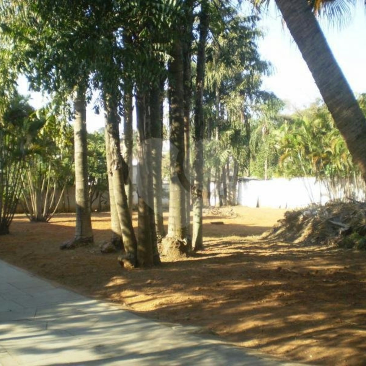 Sobrado à venda com 7 quartos, sendo 4 suítes, em Jardim Petrópolis, São Paulo, SP